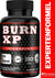 BURN XP - Thermogener Burner, von führenden Body-Experten entwickelt, mit Carnitin + Grüner Tee Extrakt, wissenschaftliche Formel, Made in Germany, 60 Kapseln