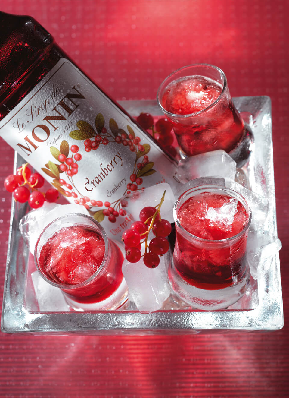 Monin Sirup Cranberry 0,7 L