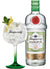 Tanqueray Gin Rangpur 0,7 L