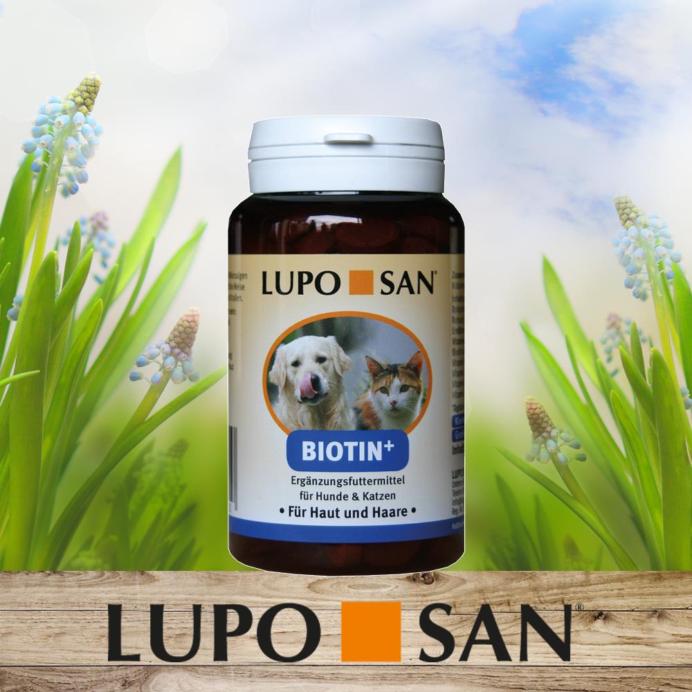 LUPOSAN - Biotin+ für Hunde 150 g